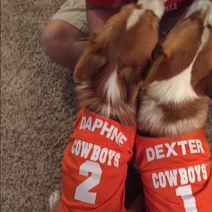 Meet your Posher, Matt